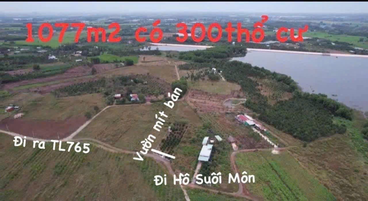 BÁN GẤP VƯỜN MÍT VIEW HỒ SUỐI MÔN – THỔ CƯ SẴN 300M² – GIÁ CHỈ 1.5 TỶ (CÓ TL)