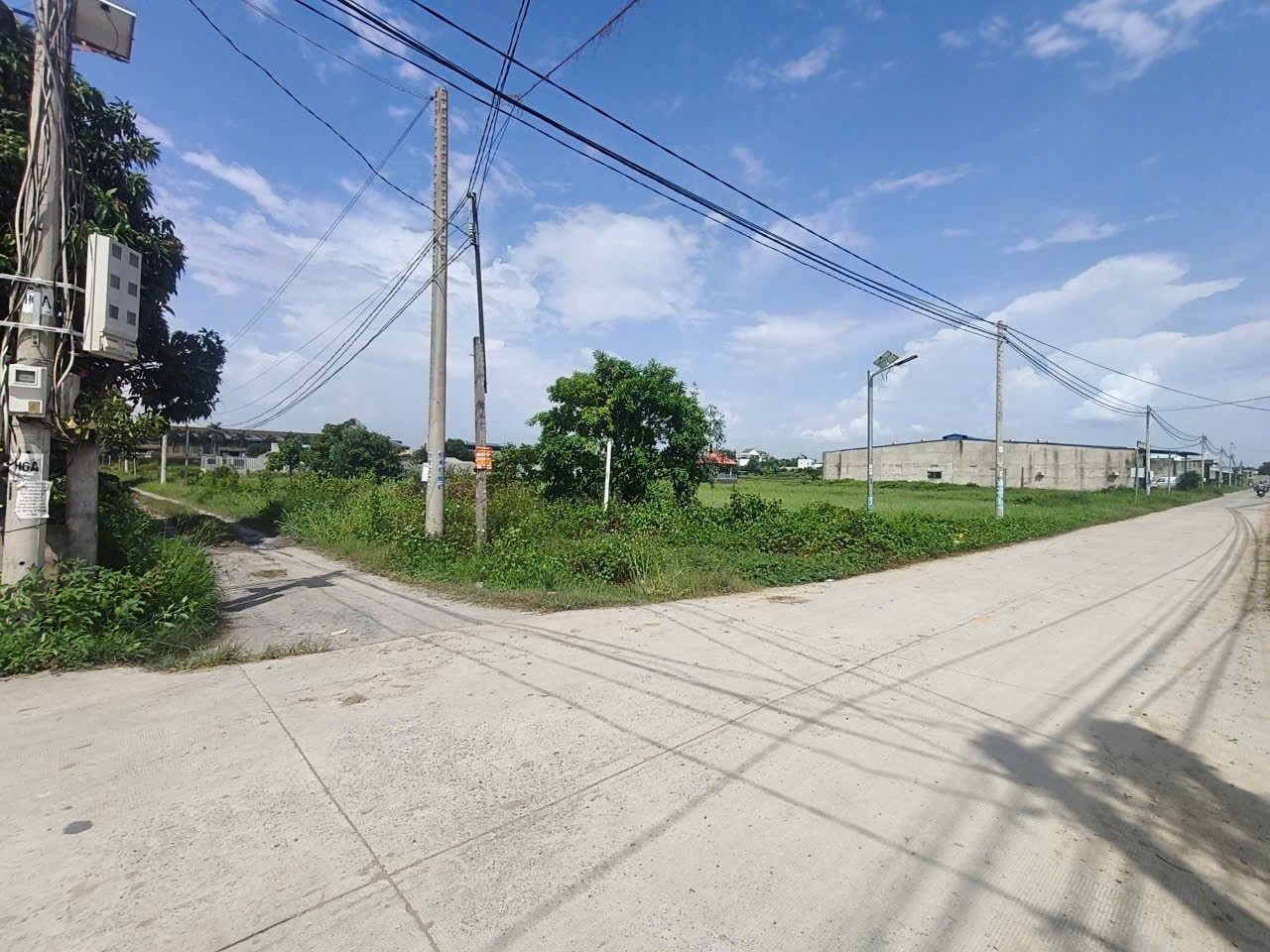 1582m2 đất vườn xã Đức Hòa Thượng , Đức Hòa, Long An giá 6,5 tỷ