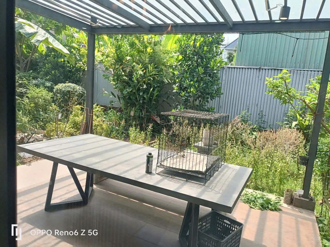 Cho thuê Biệt thự Phường Phú Hữu, Quận 9, Diện tích 316m², Giá 30 Triệu/tháng 3