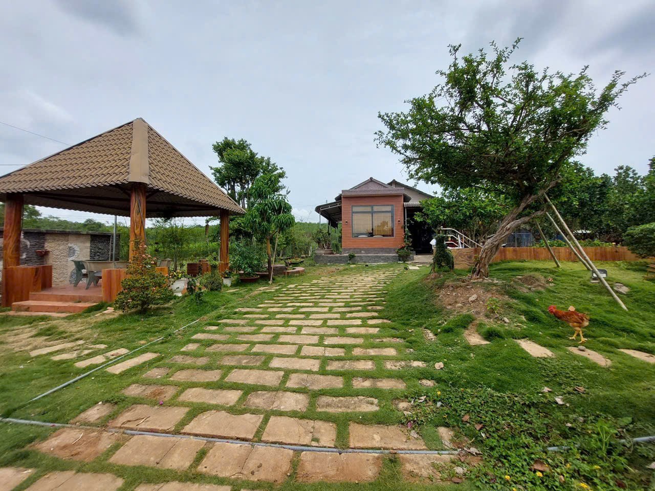 Cần bán Đất đường Suối Rao - Xuân Sơn, Xã Suối Rao, Diện tích 2900m², Giá 2 Tỷ 2