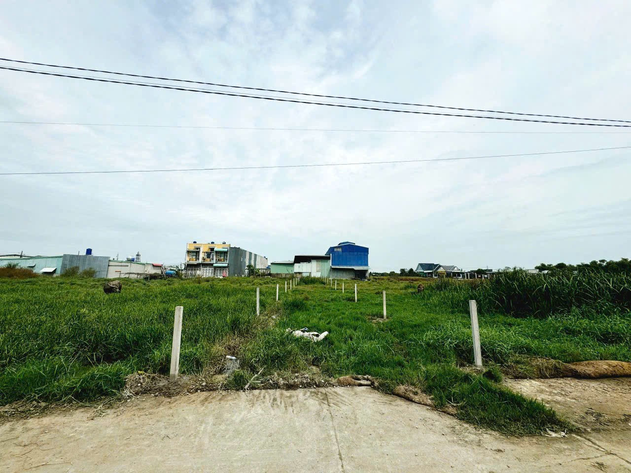 304m2 đất thổ đường beton 4m xã Đức Hòa Đông, Đức Hòa giá 2 tỷ 2