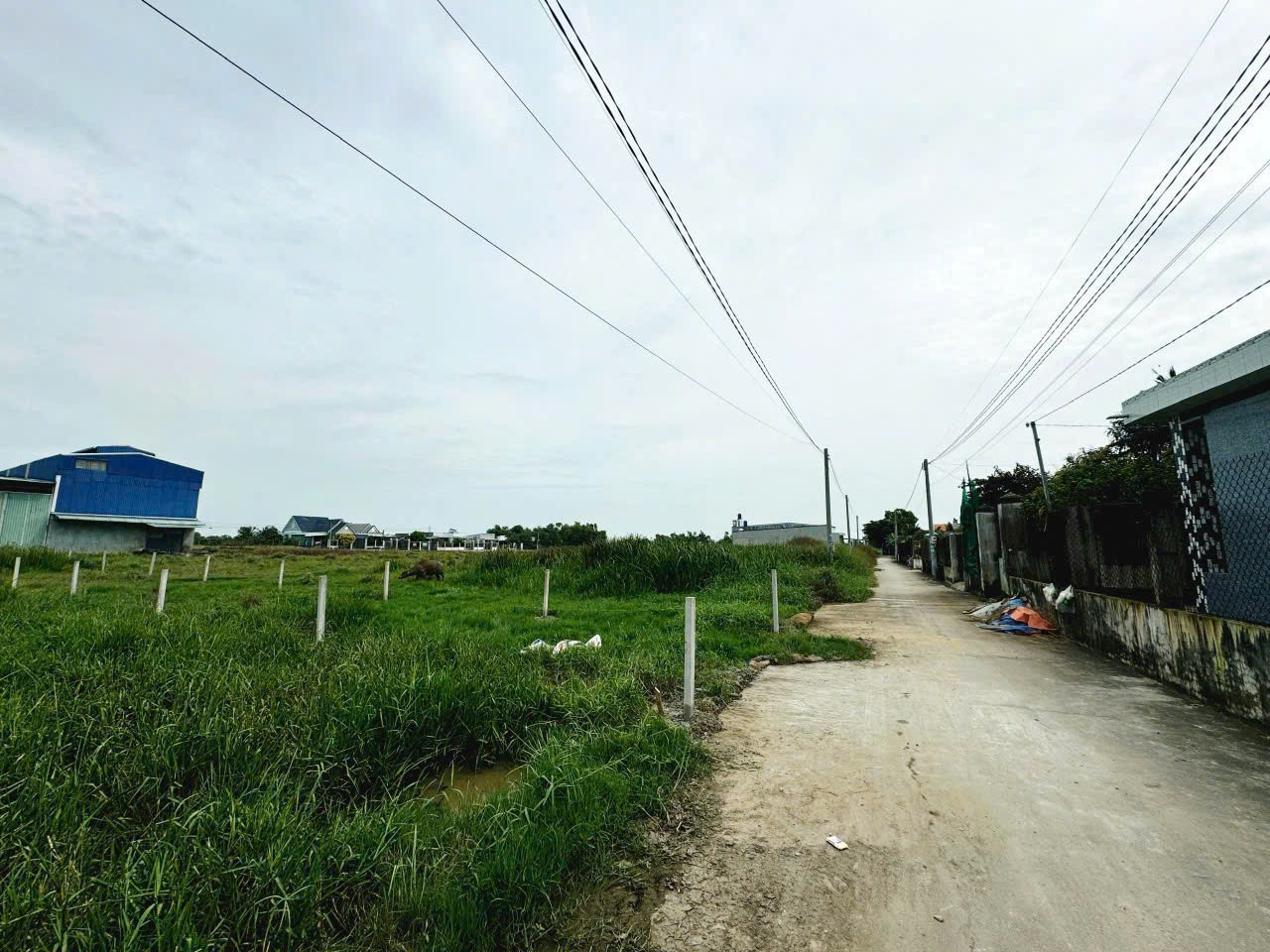 304m2 đất thổ đường beton 4m xã Đức Hòa Đông, Đức Hòa giá 2 tỷ 4