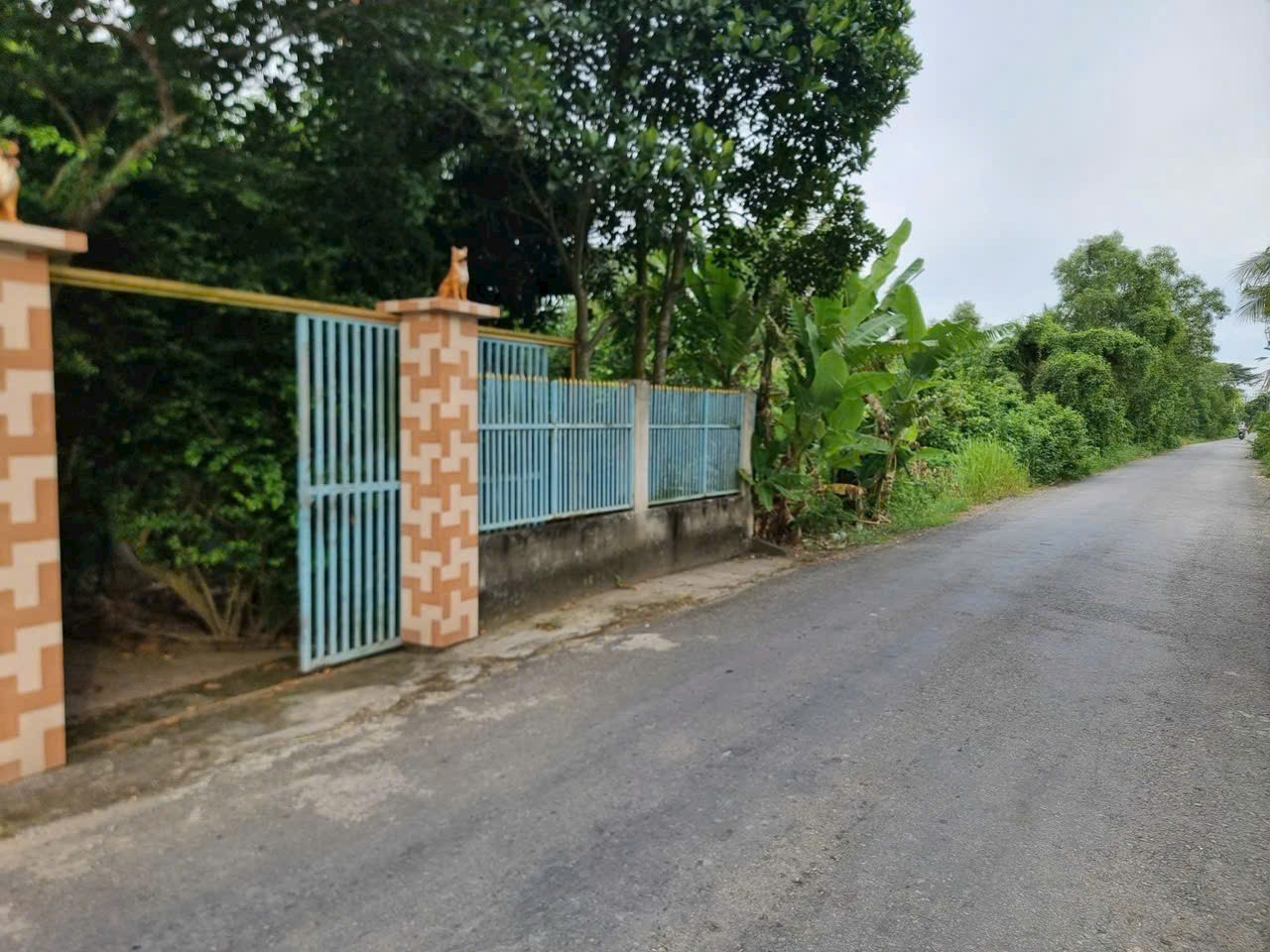 700m2 đất ( có 300m2 thổ) mặt tiền đường Trương Văn Đa, xã Tân Nhựt giá 7 tỷ