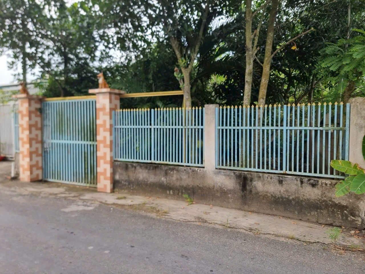 700m2 đất ( có 300m2 thổ) mặt tiền đường Trương Văn Đa, xã Tân Nhựt giá 7 tỷ 2
