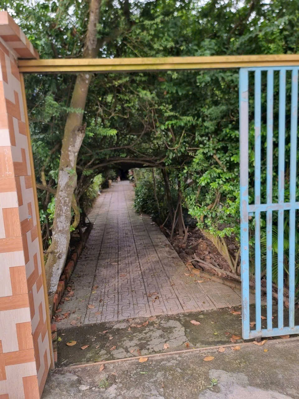 700m2 đất ( có 300m2 thổ) mặt tiền đường Trương Văn Đa, xã Tân Nhựt giá 7 tỷ 4