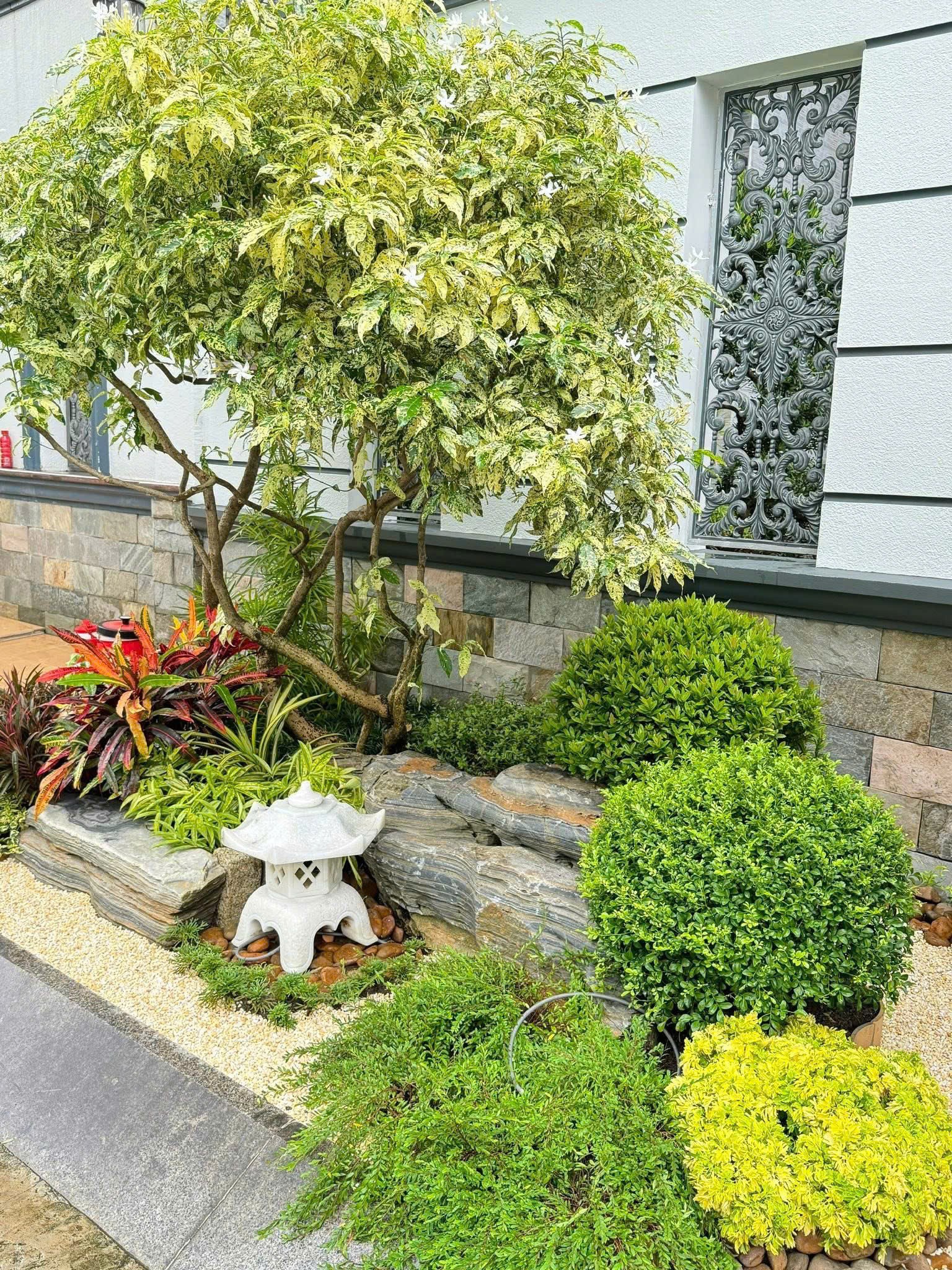 Cần bán Biệt thự Quận 2, Hồ Chí Minh, Diện tích 240m², Giá Thương lượng 11