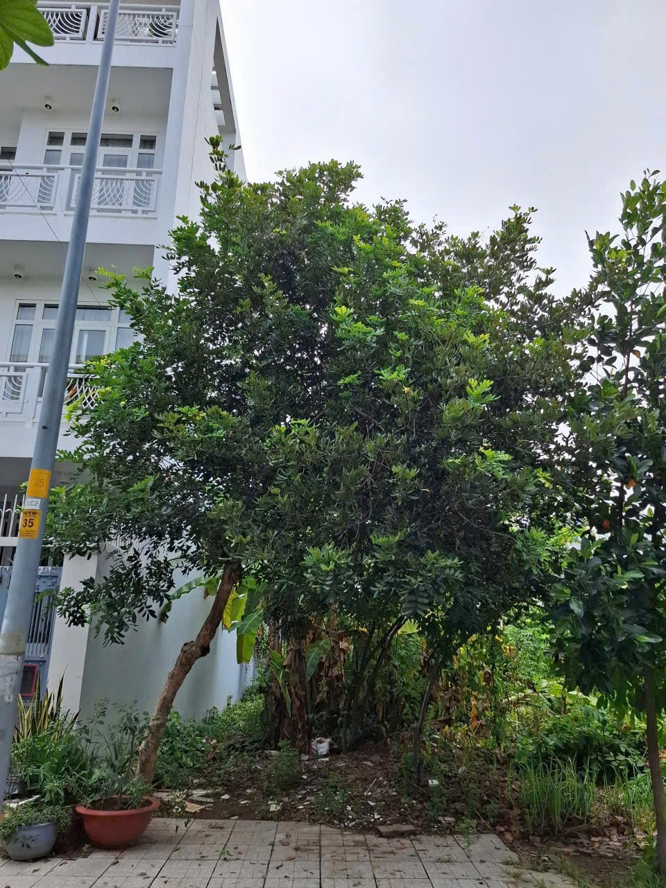 Cần bán Đất Phường Thạnh Mỹ Lợi, Quận 2, Diện tích 87m², Giá 11.6 Tỷ