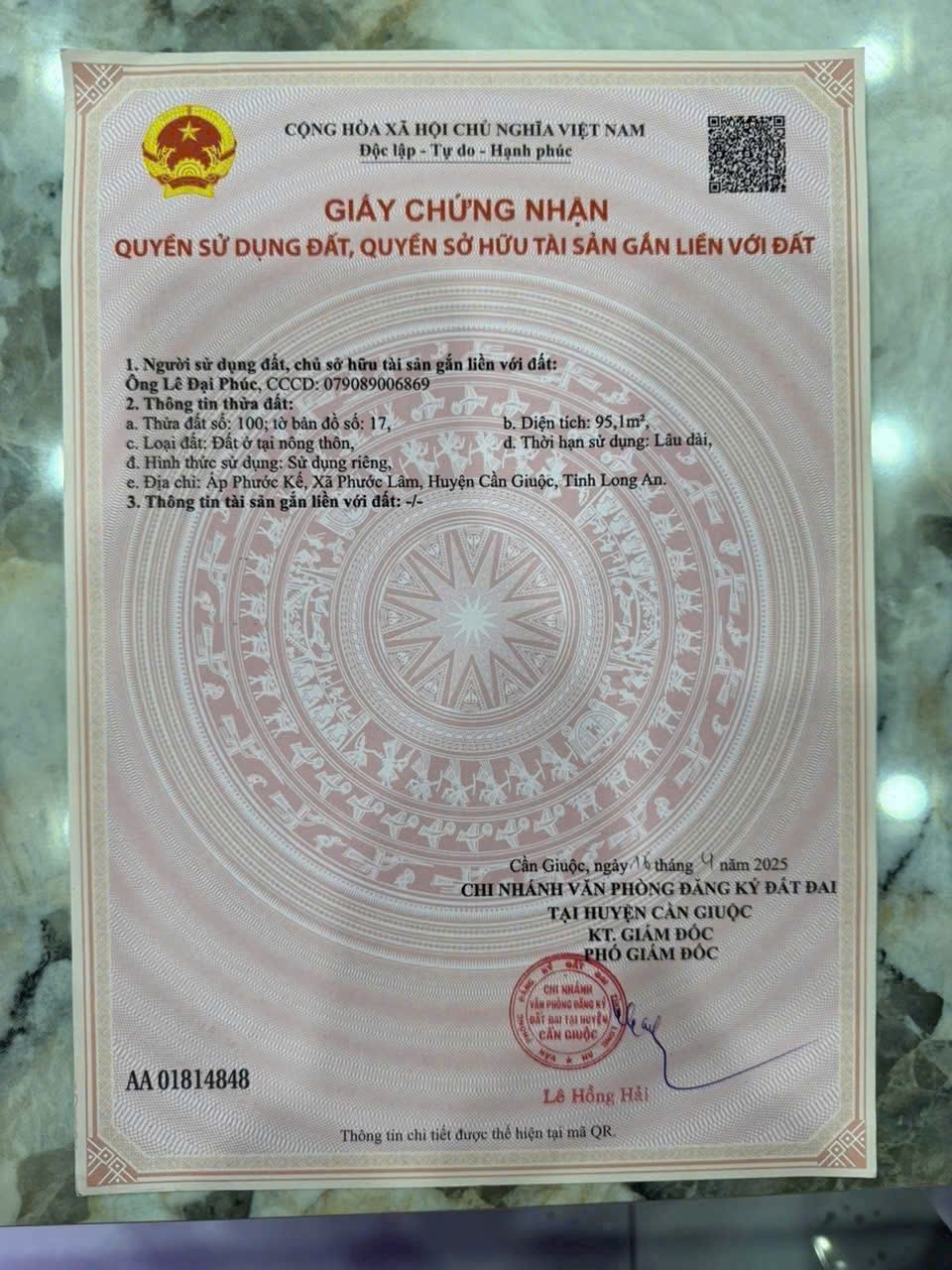 95m2 đất thổ mặ tiền đường nhựa xã Phước Lâm , Cần Giuộc giá 1,15 tỷ 4