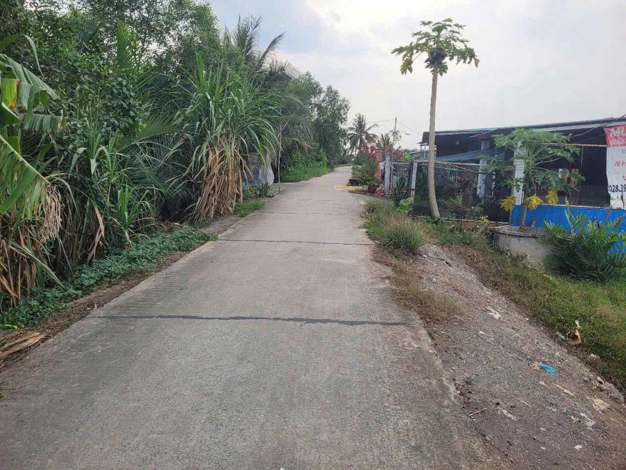 150m2 thổ cư mặt tiền đường beton 4m ấp 7, xã Tân Bửu, Bến Lức, Long An giá 1,3 tỷ 2