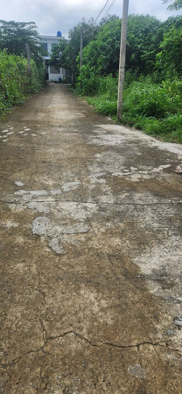 120m2 thổ cư hẻm beton 5m ấp 5 xã Đức Hòa Đông, Long An giá 1,18 tỷ 3