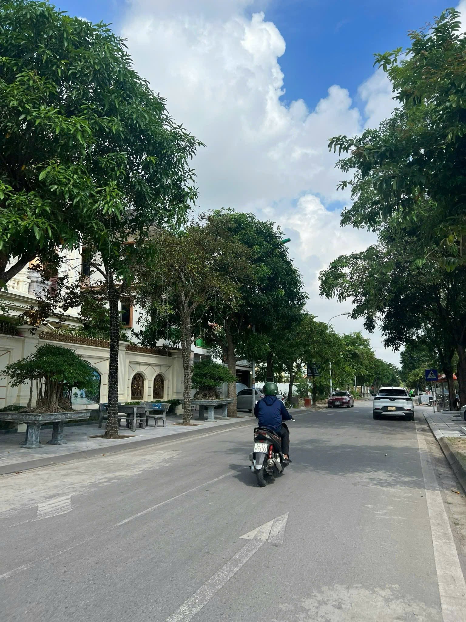 Bán đất biệt thự khu Trường An, mặt đường Trần Nguyên Đán, TP HD, 250m2, mt 12.5m