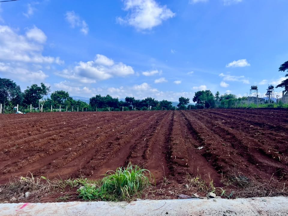 Cần bán Đất đường ĐT 725, Xã Đông Thanh, Diện tích 502m², Giá Thương lượng