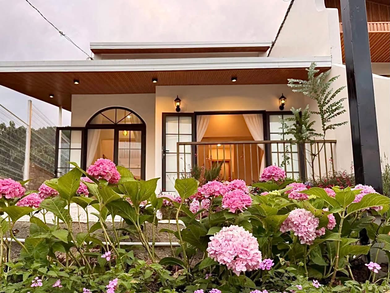 Cần bán Biệt thự đường Tỉnh lộ 725, Xã Mê Linh, Diện tích 239m², Giá 2.380 Tỷ