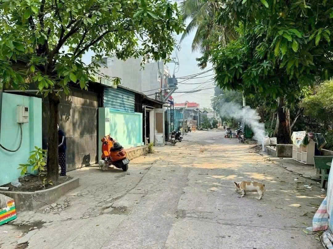 HẠ GIÁ BÁN GẤP CHỈ 8 TỶ – XƯỞNG 350M² LÔ GÓC 2 MẶT TIỀN AN PHÚ ĐÔNG, HCM 2
