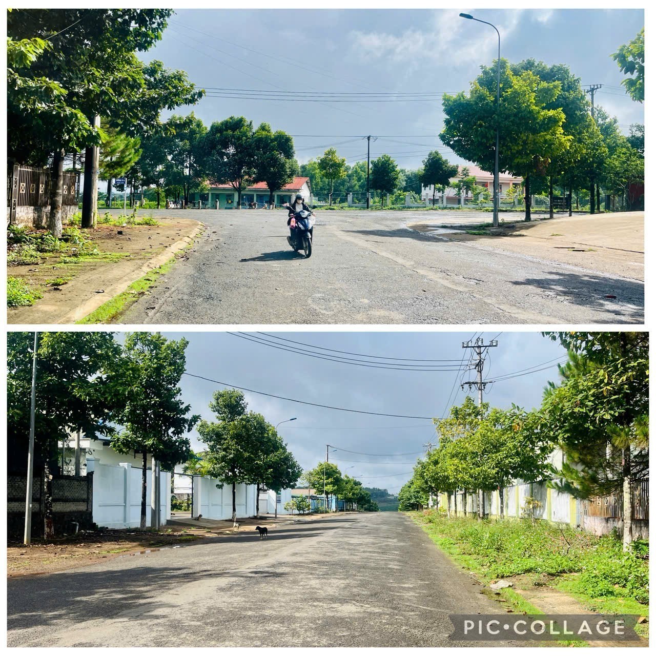 Cho thuê Kho - Nhà xưởng đường Trường Sa, Phường Diên Hồng, Diện tích 1560m², Giá 54,6 Triệu/tháng 2