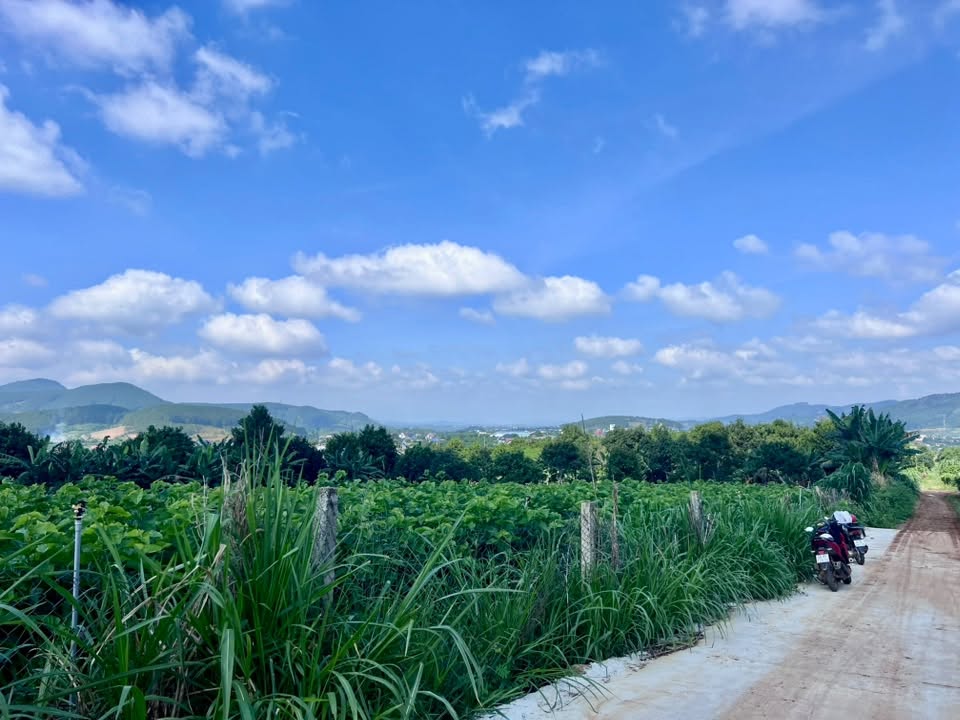 Cần bán Đất đường ĐT 725, Xã Đông Thanh, Diện tích 502m², Giá Thương lượng 2