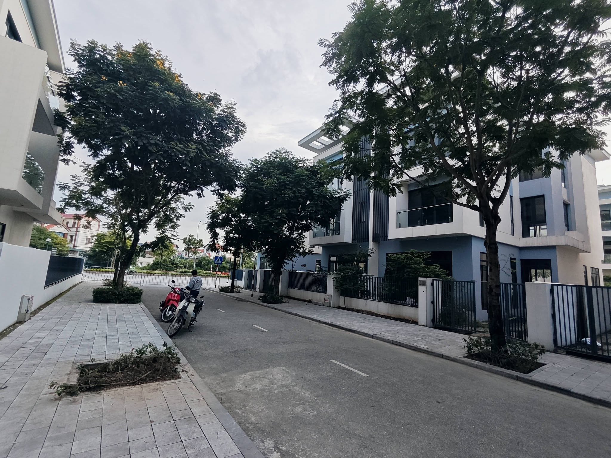 Biệt thự 4T xây thô An Quý, ĐTM Dương Nội, DT198m MT9m, 48.6 tỷ Hà Đông