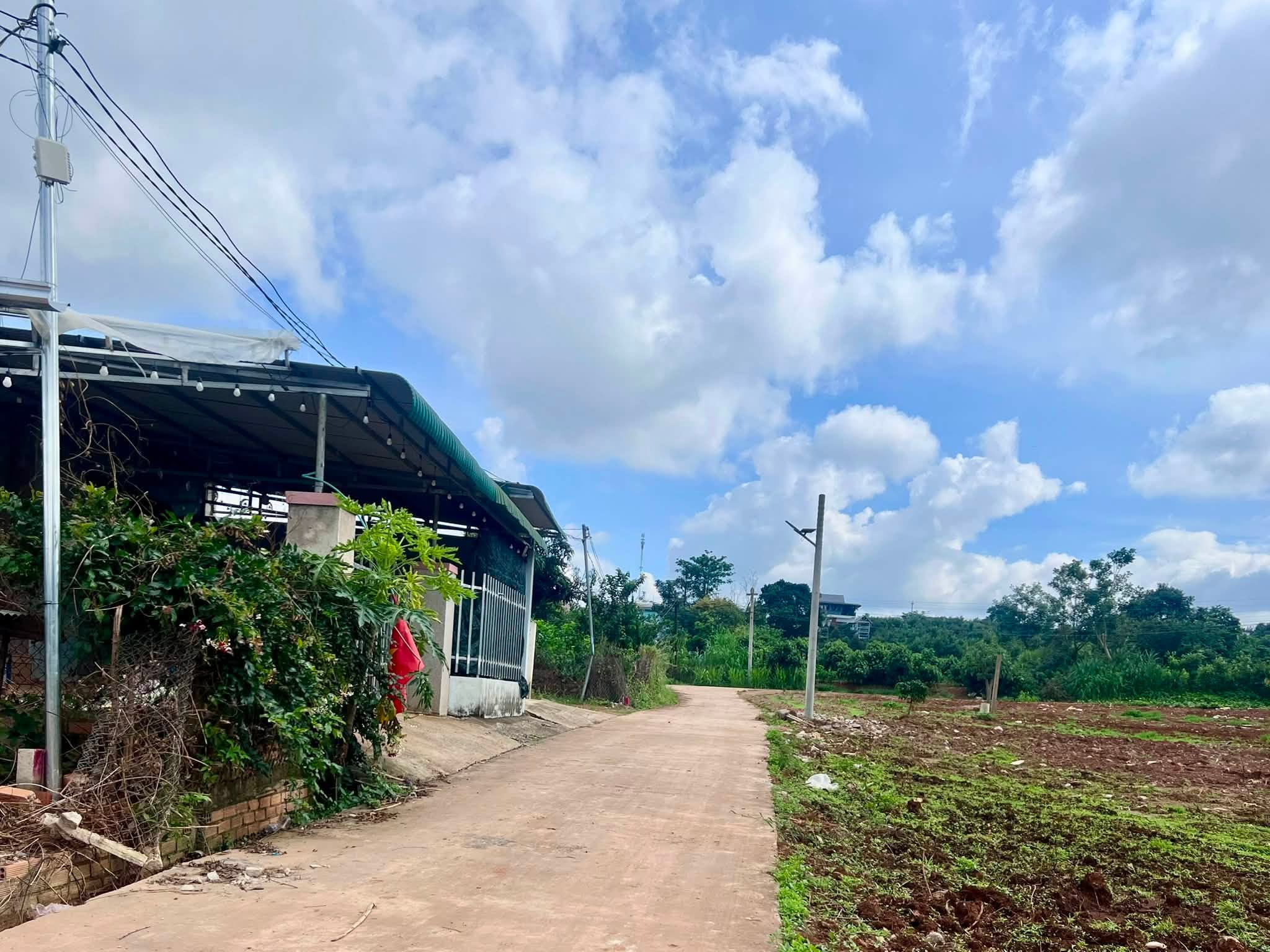 Cần bán Đất đường Tỉnh lộ 725, Xã Đông Thanh, Diện tích 446m², Giá 890 Triệu 2