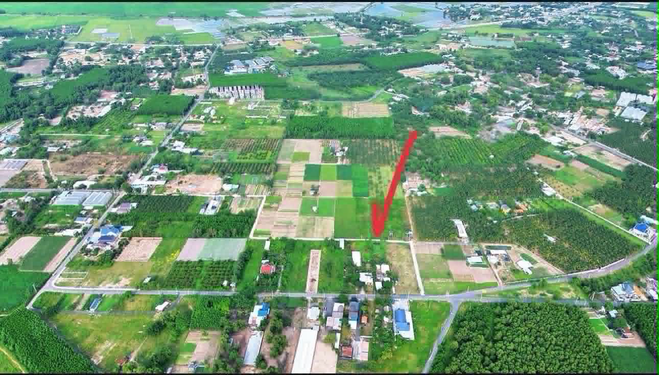 Cần bán Đất đường Tỉnh lộ 44B, Thị trấn Phước Hải, Diện tích 2016m², Giá 1.65 Tỷ 3