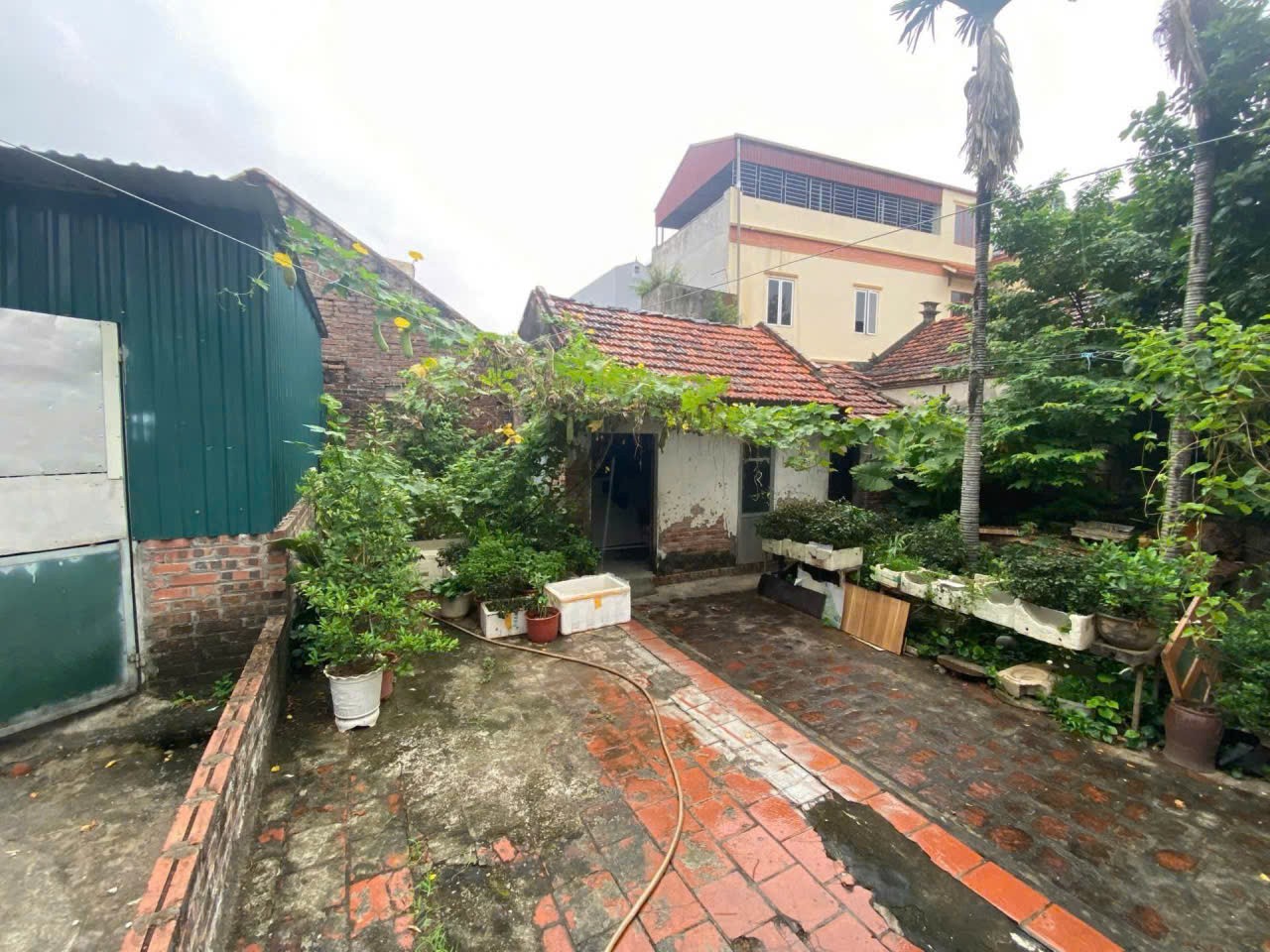 61m2 ĐẤT, GIANG XÁ, TRẠM TRÔI, TT HOÀI ĐỨC, XÂY Ở MUA ĐẦU TƯ, chỉ 4.9 tỷ 3