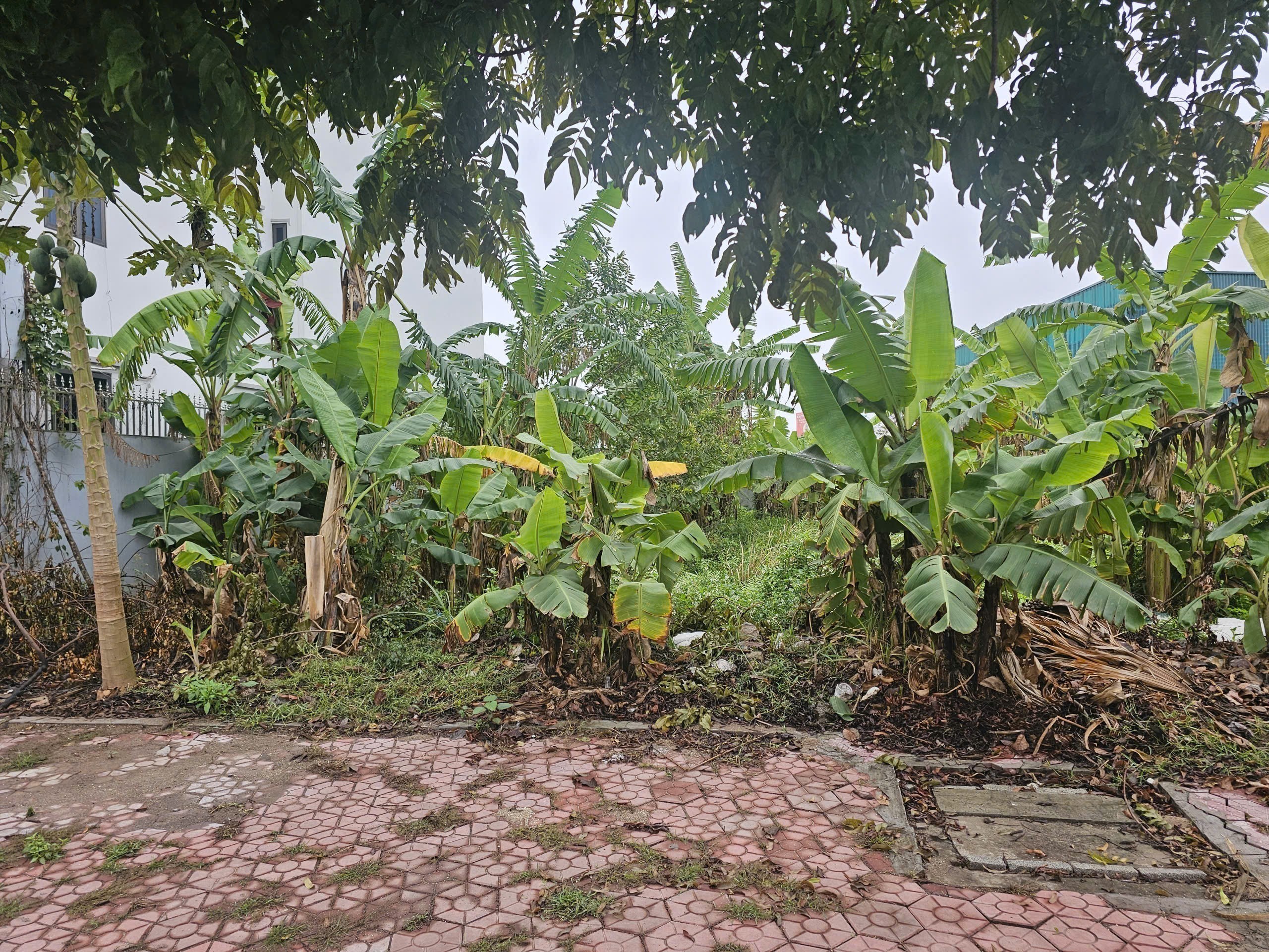 317m2 Cần bán Đất Phường Nhị Châu, Hải Dương