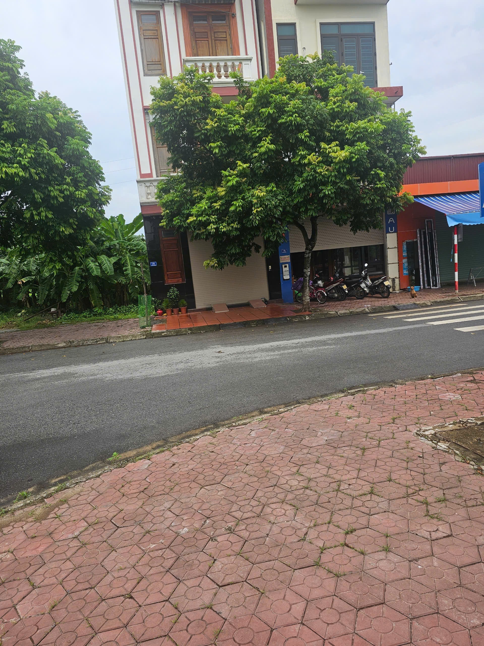 317m2 Cần bán Đất Phường Nhị Châu, Hải Dương 3
