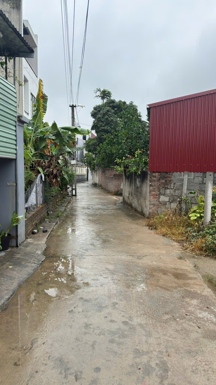 Bán đất Hảo Hội, Tuệ Tĩnh, Cẩm Giàng sát vách KCN Tây Việt Hòa chỉ 9xx tr 3