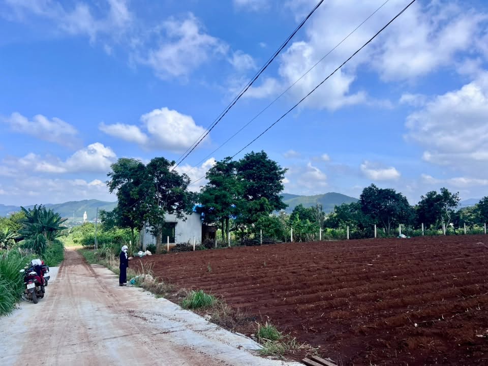 Cần bán Đất đường ĐT 725, Xã Đông Thanh, Diện tích 502m², Giá Thương lượng 3