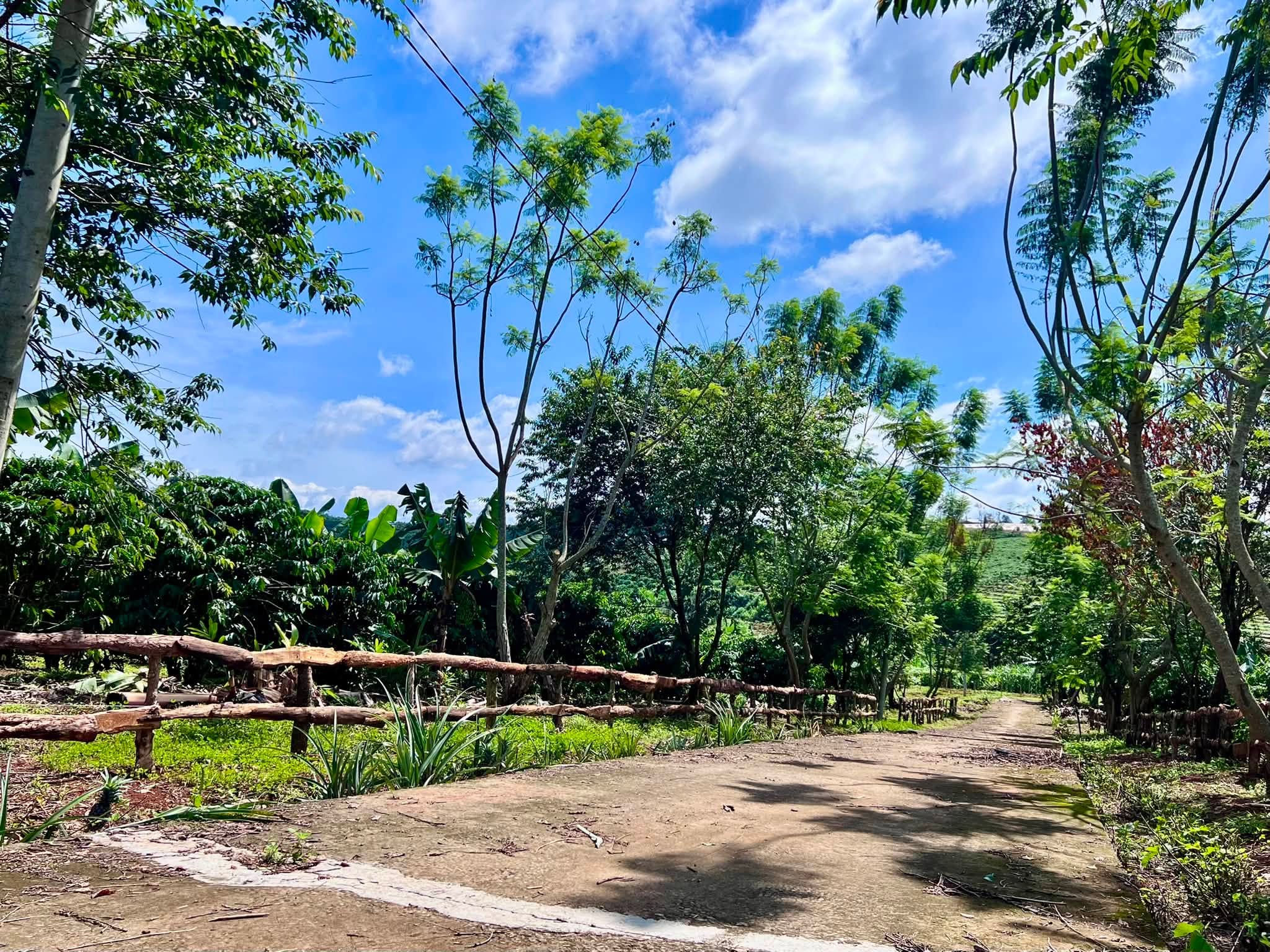 Cần bán Đất đường Tỉnh lộ 725, Xã Nam Hà, Diện tích 1000m², Giá 1.4 Tỷ 2