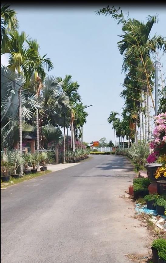 Bán Nhà Đường Trần Khánh Dư- Khu Làng Hoa Sa Đéc, 380m2, giá 2 tỷ 8