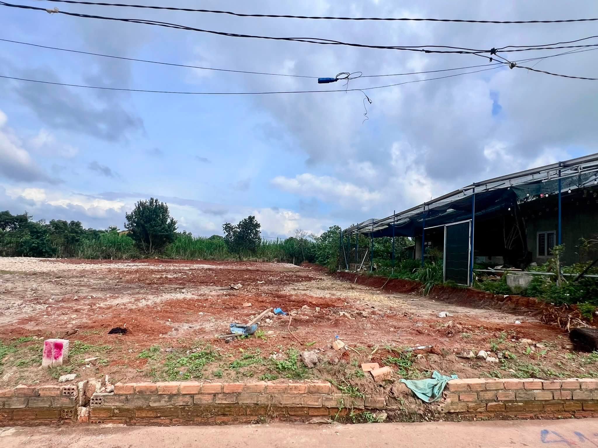 Cần bán Đất đường Tỉnh lộ 725, Xã Đông Thanh, Diện tích 446m², Giá 890 Triệu 3