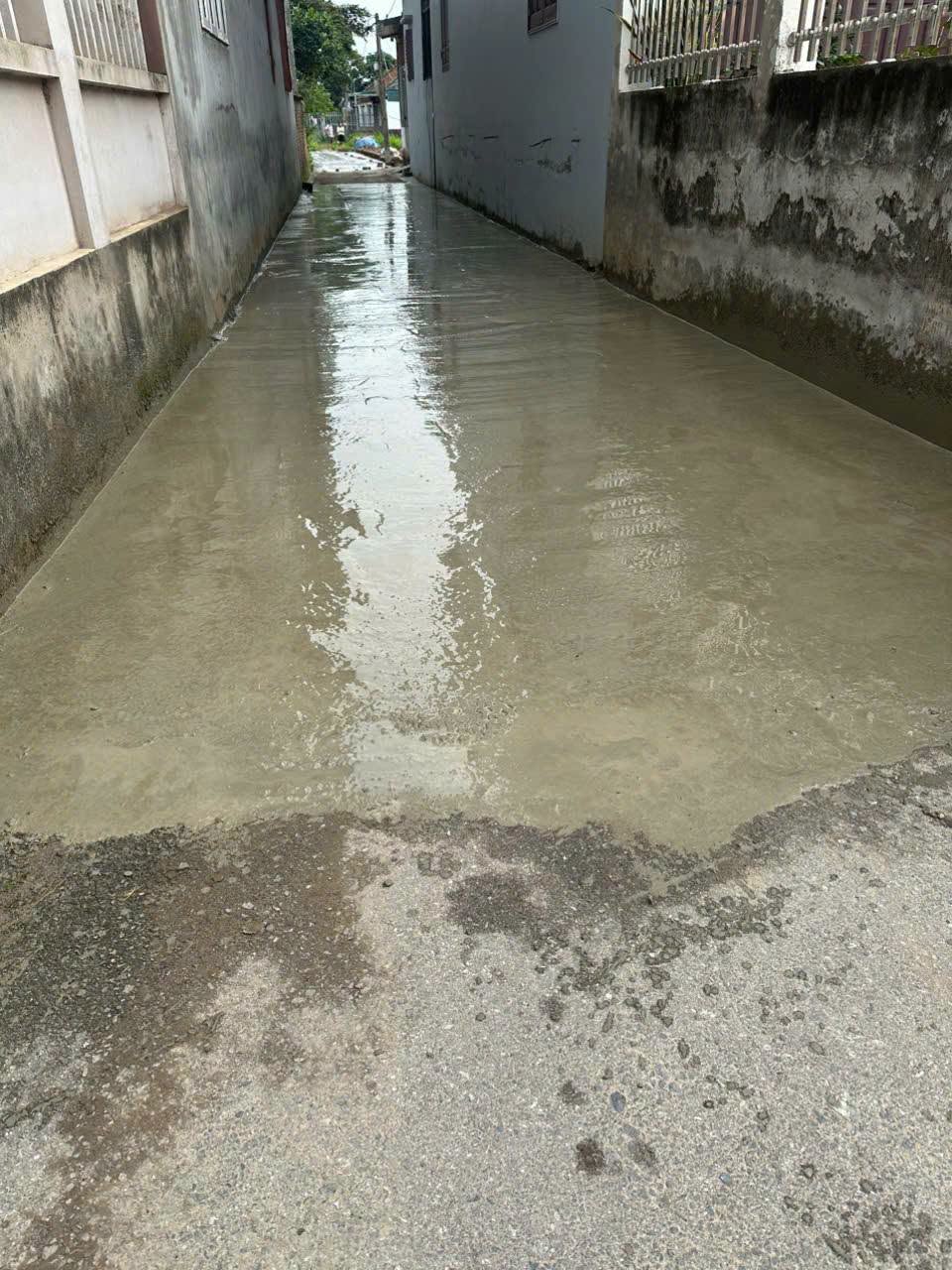 Đất nền sát Cầu Cậy mới 96m2 ô tô vào đất giá đầu tư chỉ 1.ty 2xx 4