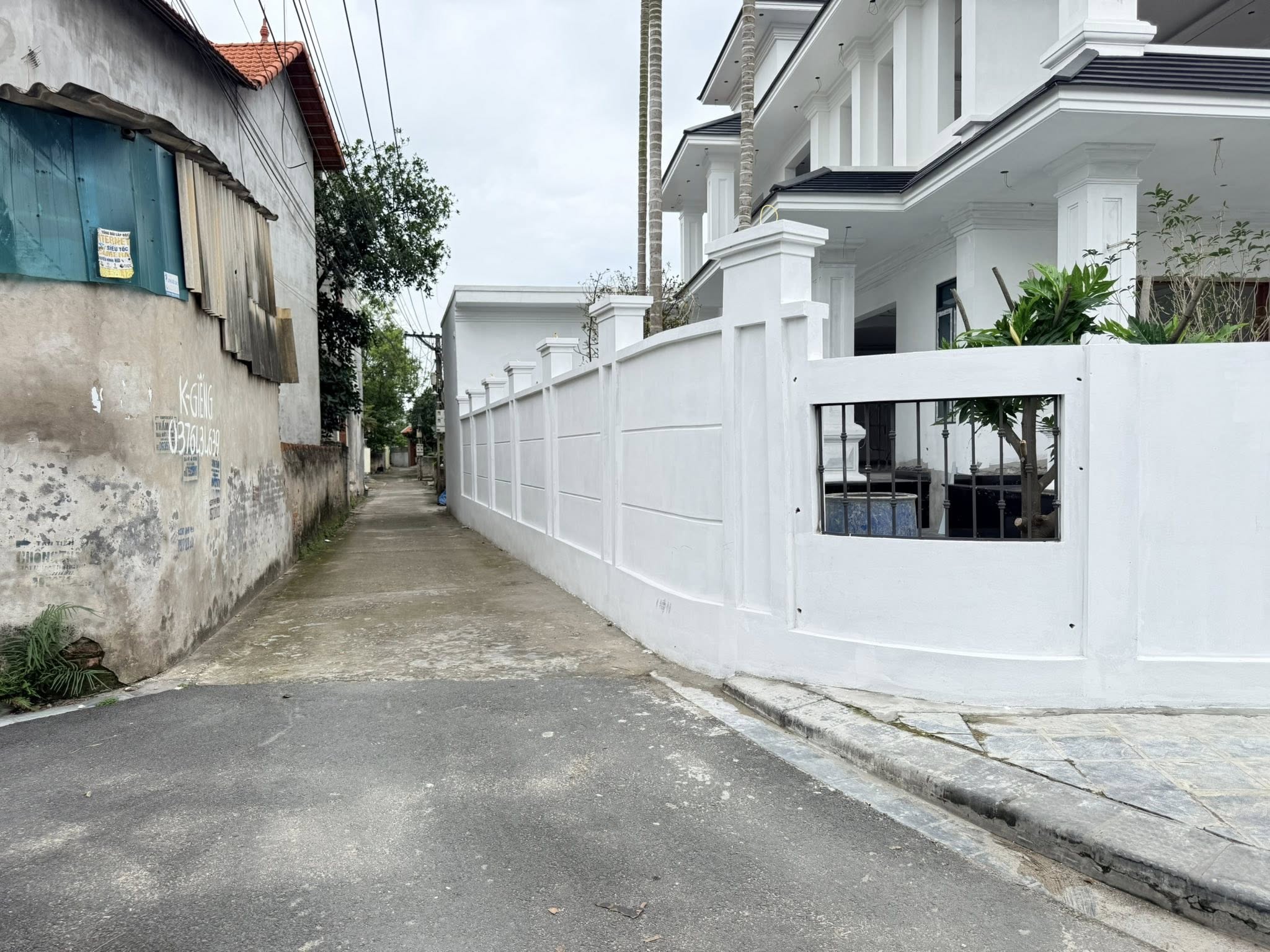 Lô Góc Hoa Hậu Duy Nhất Còn Sót Lại Ở Thôn Nghĩa Trai Như Quỳnh - Hưng Yên: 0835459289