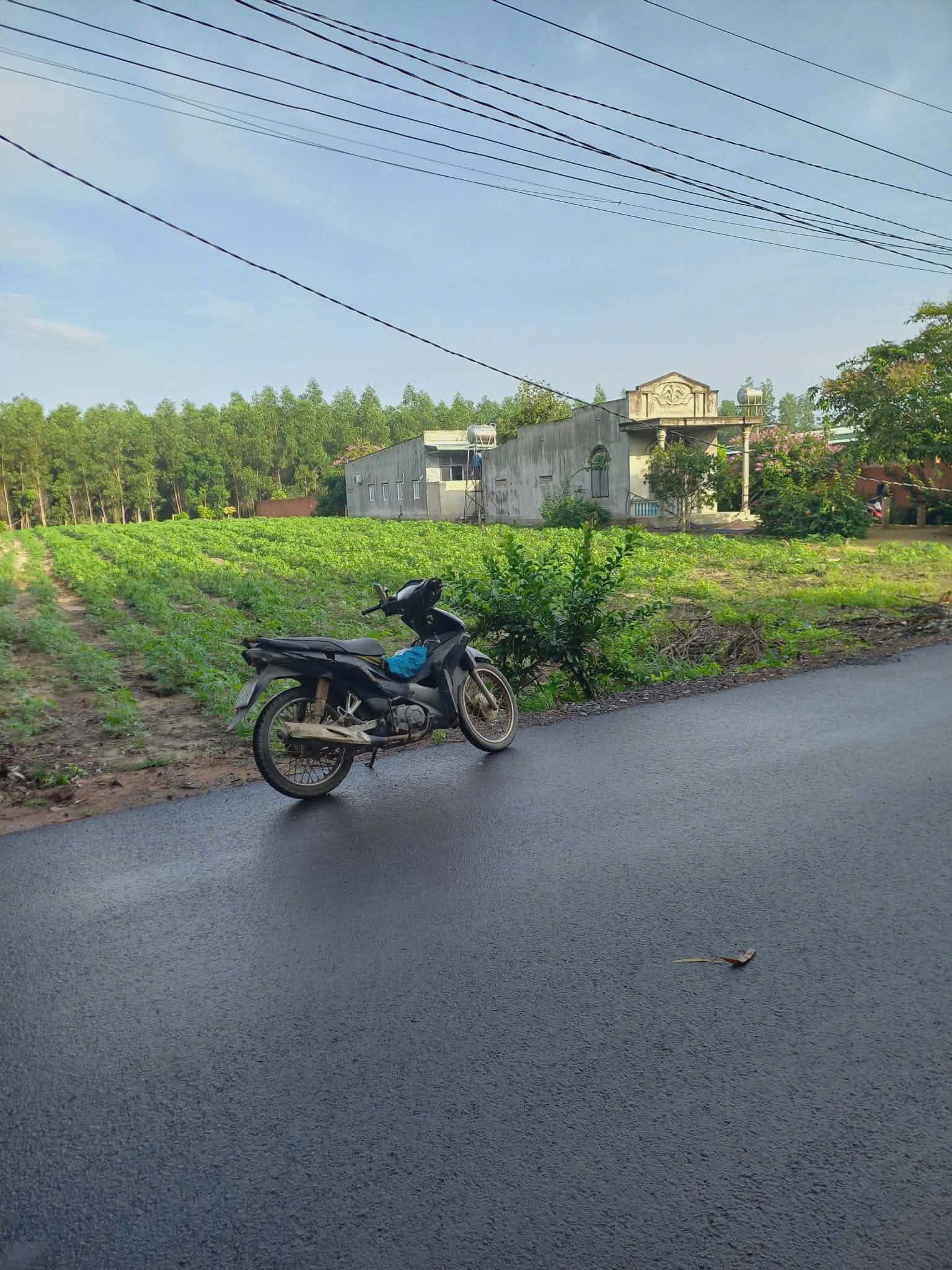 CHÍNH CHỦ CẦN BÁN LÔ ĐẤT THỔ CƯ 1976m2 ĐẦU TƯ SINH LỜI 4