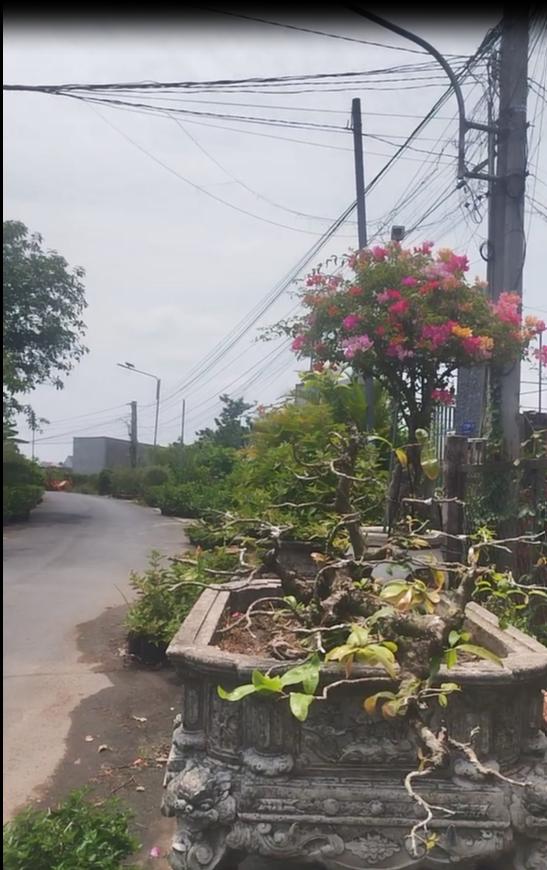 Bán Nhà Đường Trần Khánh Dư- Khu Làng Hoa Sa Đéc, 380m2, giá 2 tỷ 8 4