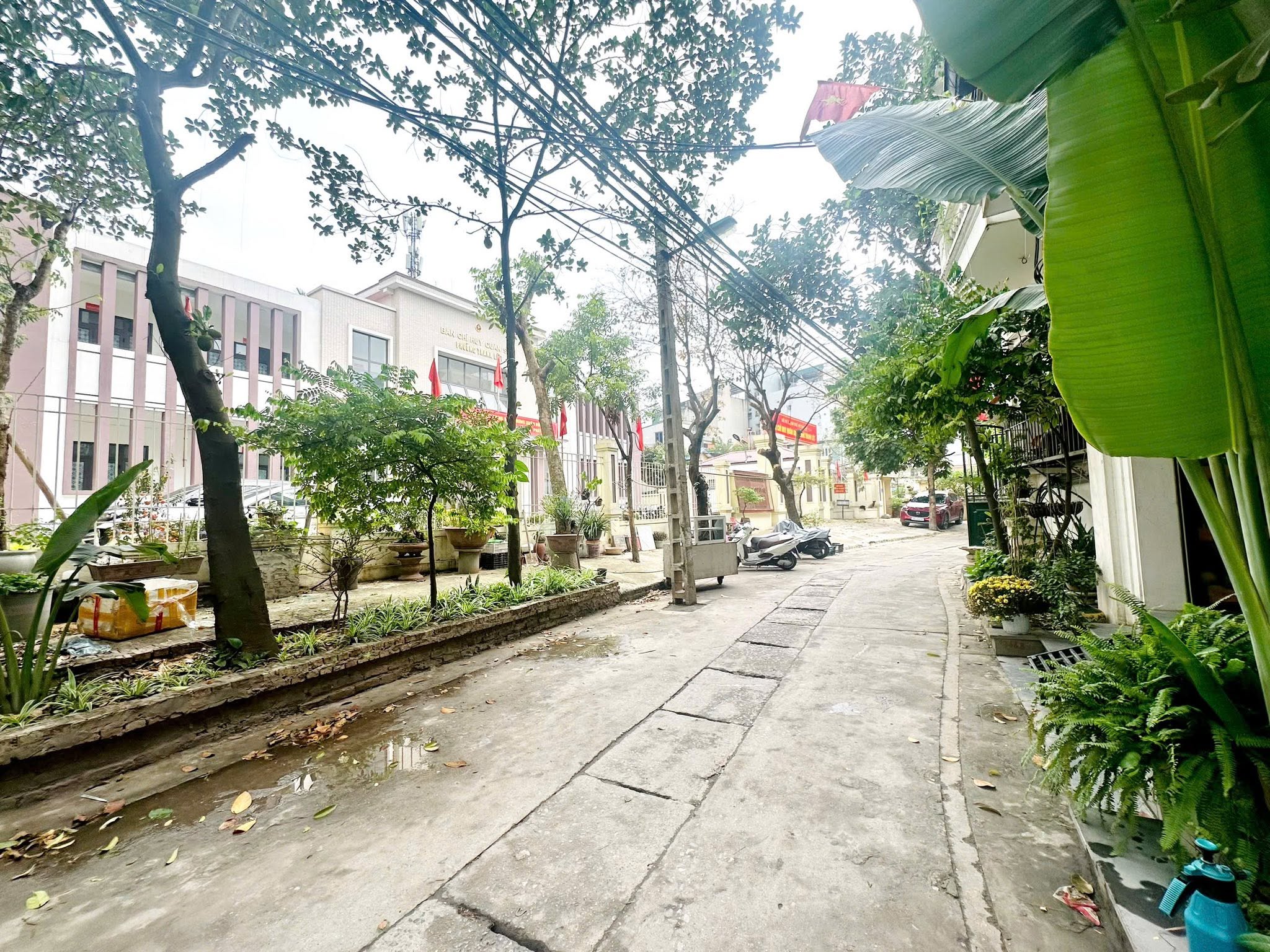 Hoàng Như Tiếp Long Biên 10 tỷ 50m,ô tô đỗ cửa,gần phố 4