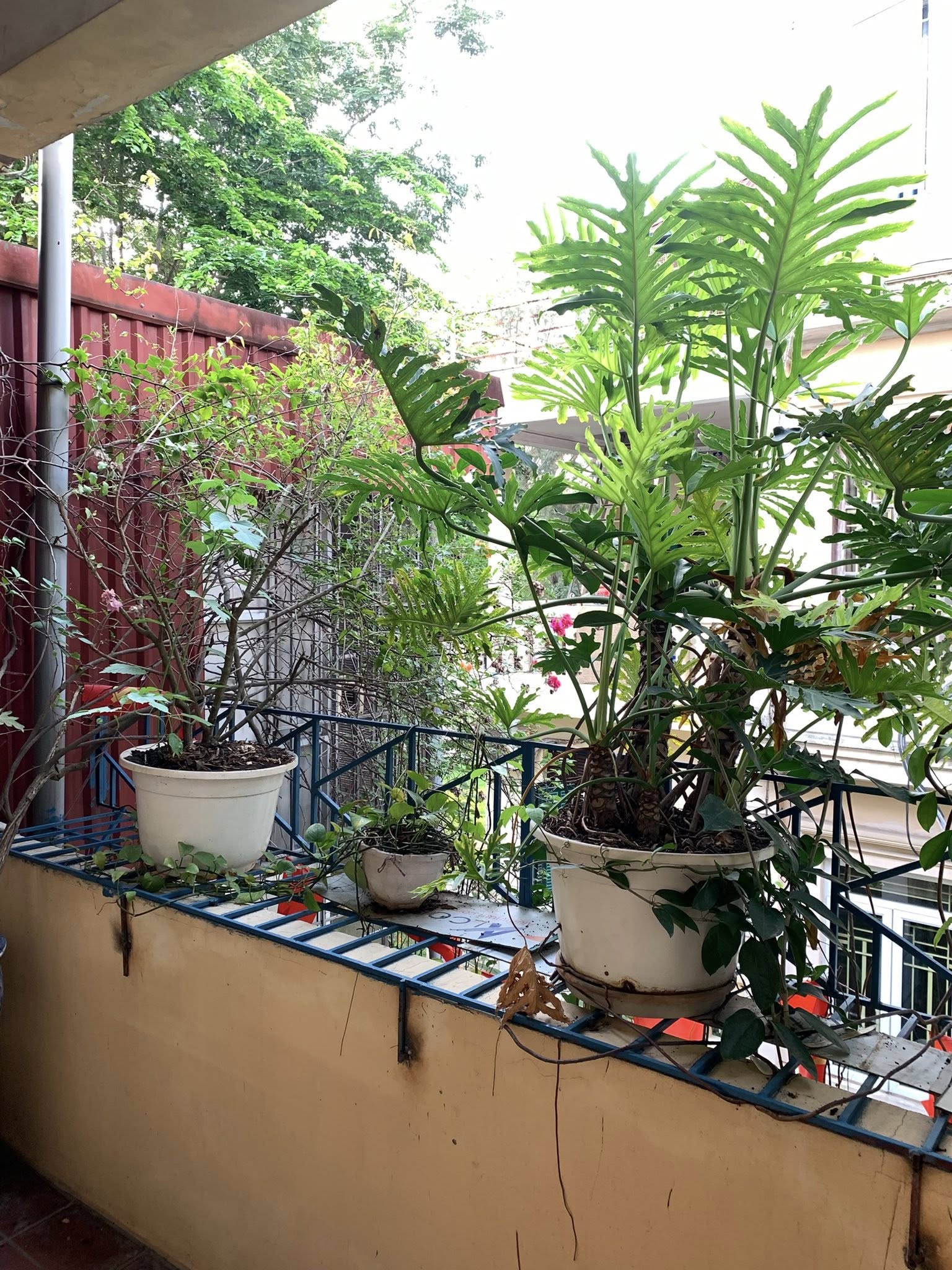 20M RA PHỐ NGUYỄN ĐÌNH CHIỂU-VIEW CÔNG VIÊN-NHÀ MẶT NGÕ-70Mx5T-3 MẶT THOÁNG-Ở SƯỚNG 5