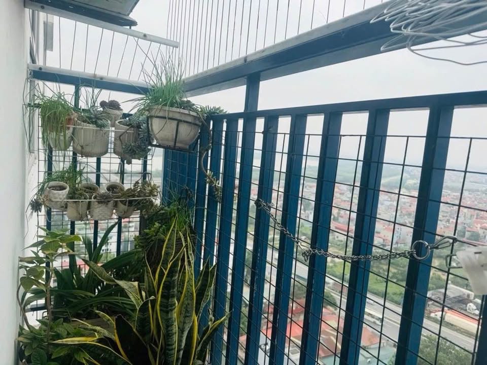 Chỉ 4,35 TỶ BÁN NGAY CHUNG CƯ RUBY CT3, PHÚC LỢI, LONG BIÊN – 70M2
