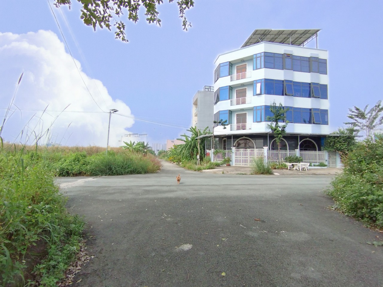 Bán đất nền vị trí đẹp, giá tốt còn thương lượng, DT 110m2 tại KDC Sở Văn hoá thông tin, quận 9 4