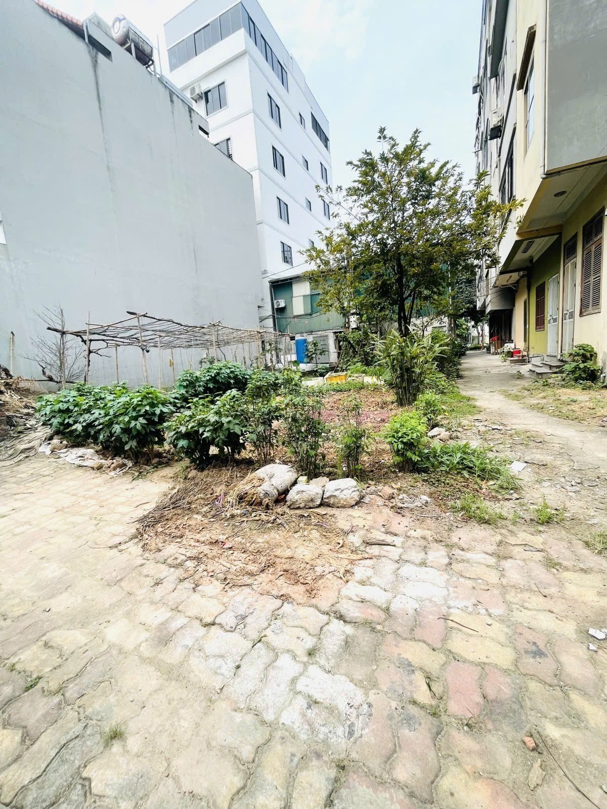 Cần bán Đất đường Hưng Phúc, Phường Yên Sở, Diện tích 80m², Giá 26 Tỷ