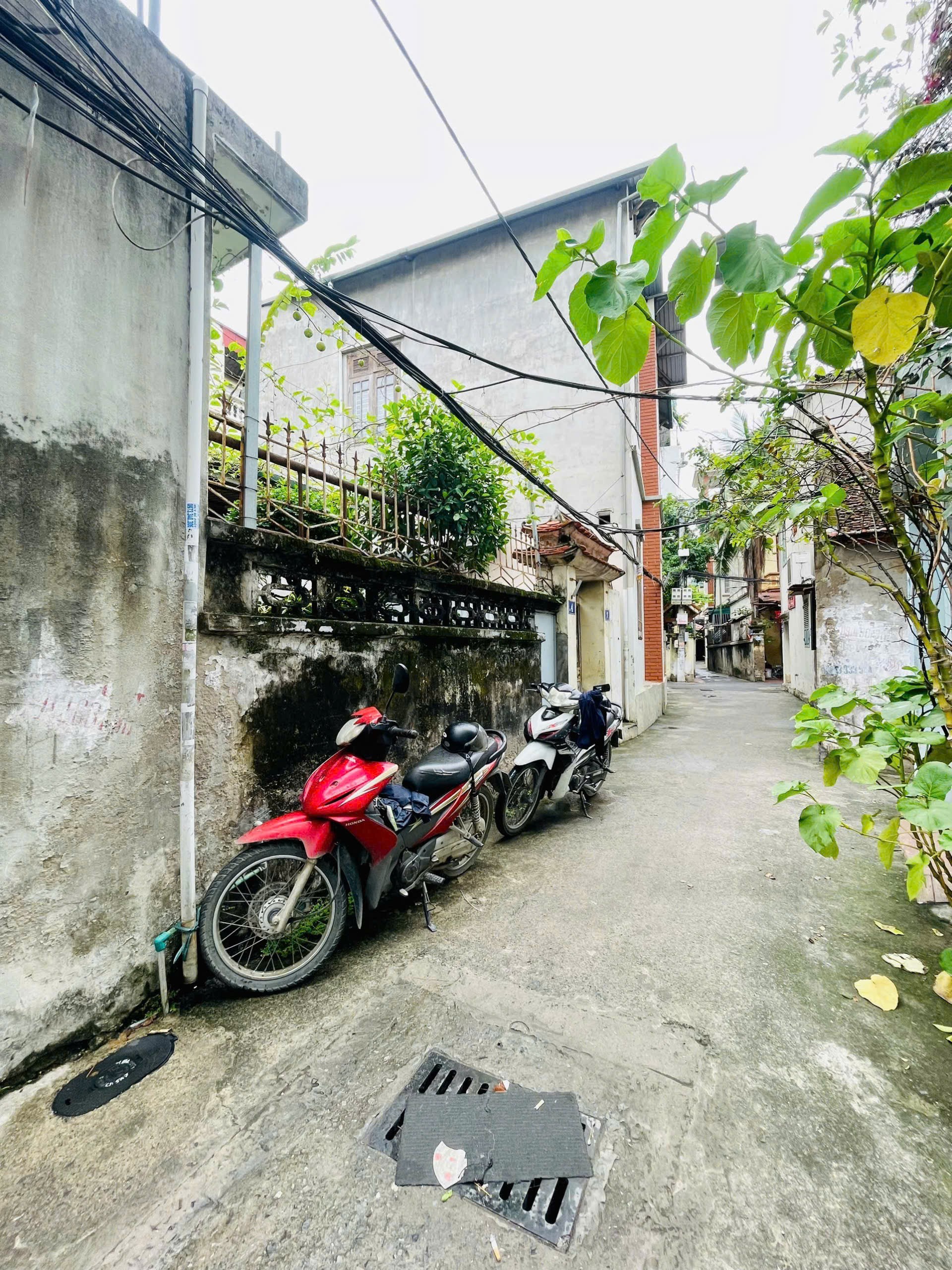 Cần bán Đất đường Nguyễn Chính, Phường Thịnh Liệt, Diện tích 51m², Giá 12 Tỷ 3
