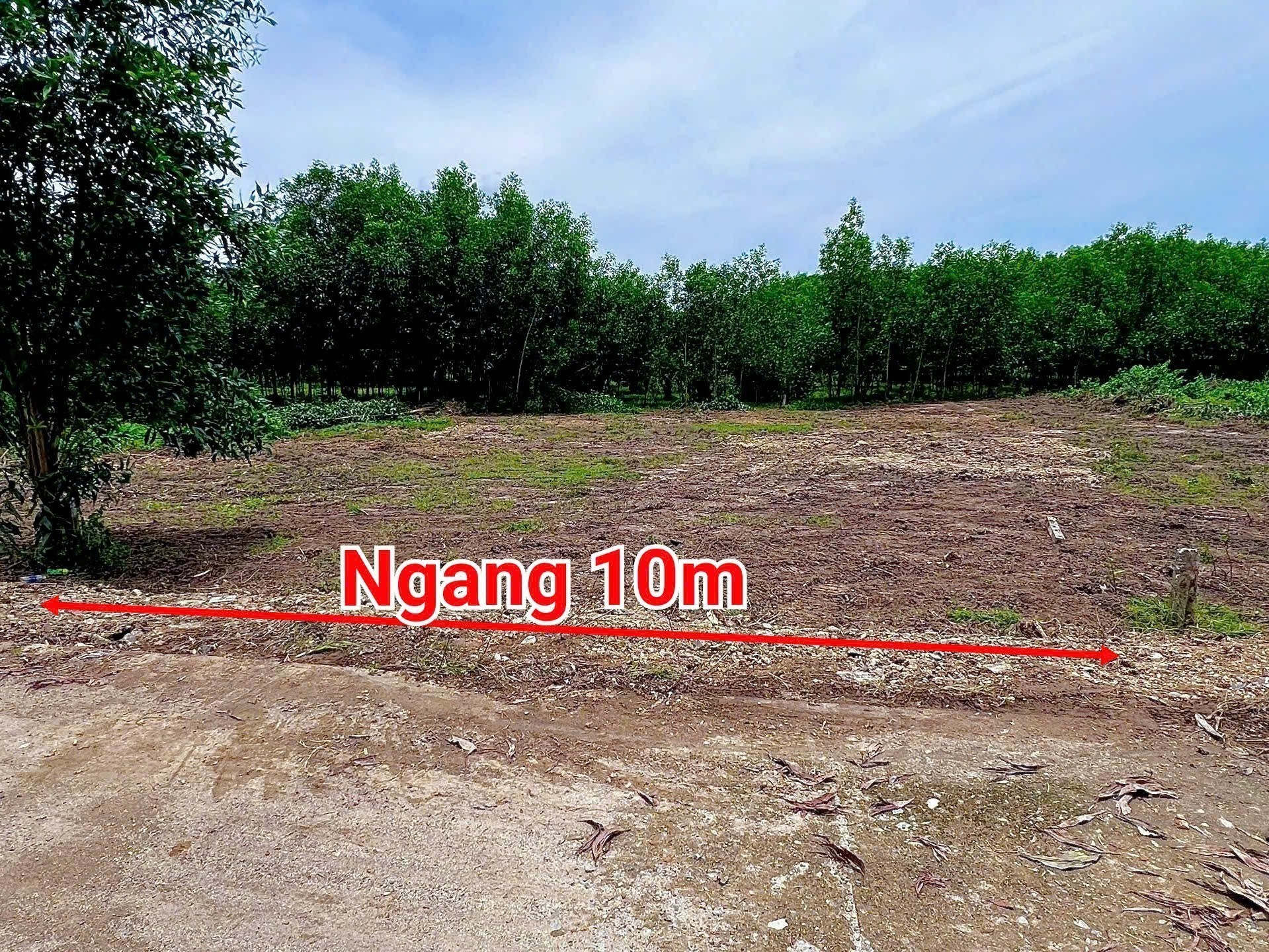 Bán đất Khánh Nam giá rẻ full thổ sát bên Tỉnh Lộ 8B - đường bê tông ô tô tận nơi 2