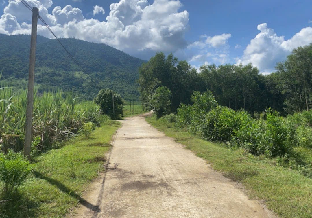 Bán đất Khánh Nam giá rẻ full thổ sát bên Tỉnh Lộ 8B - đường bê tông ô tô tận nơi 3