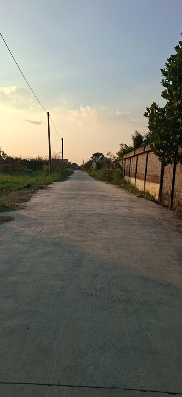 Bán gấp đất mặt tiền Nguyễn Thị Điểm huyện Tân Trụ tỉnh Long An 4