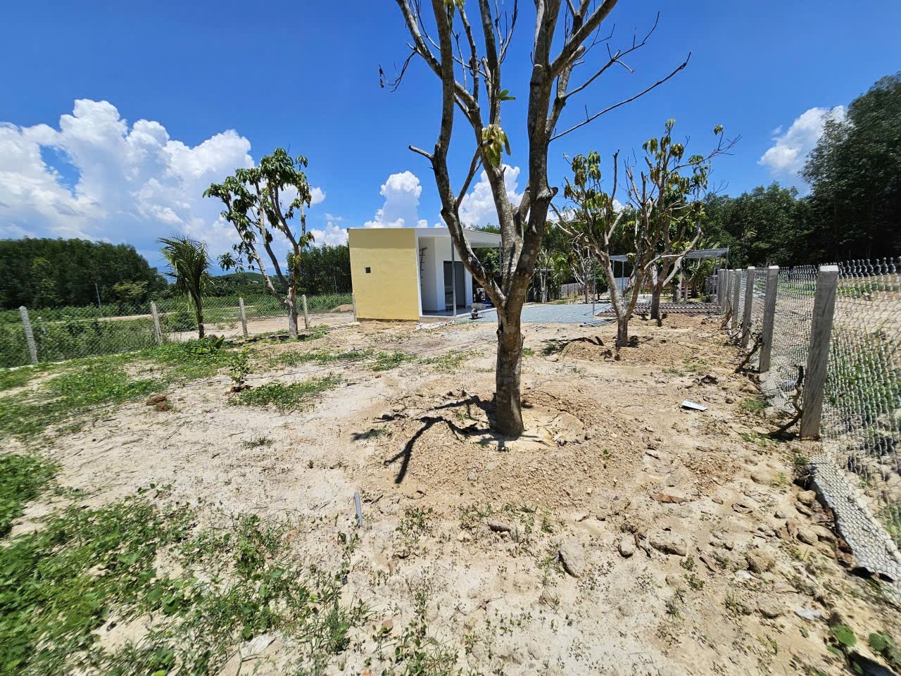 Bán đất Diên Xuân giá rẻ sẵn thổ cư đã lên mô hình nhà vườn nghỉ dưỡng gần KDL Nhân Tâm cũ 19