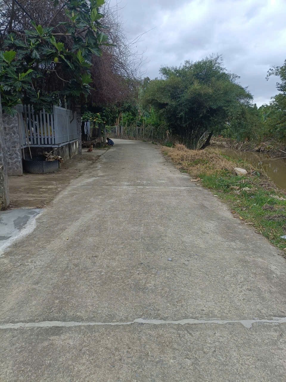 Bán nhà Diên Hoà thôn Quang Thạnh có sân vườn rộng rãi view suối thoáng đẹp - ô tô tận nơi 8
