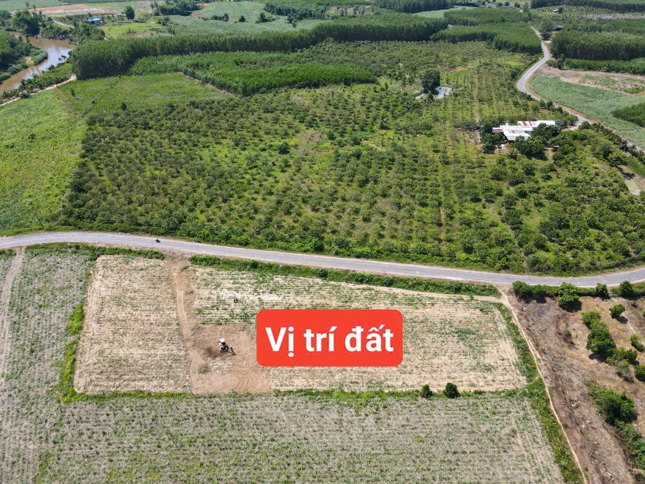 Bán đất vườn Diên Xuân mặt tiền đường nhựa liên xã gần khu dân cư cách chợ Đất Sét 900m 3