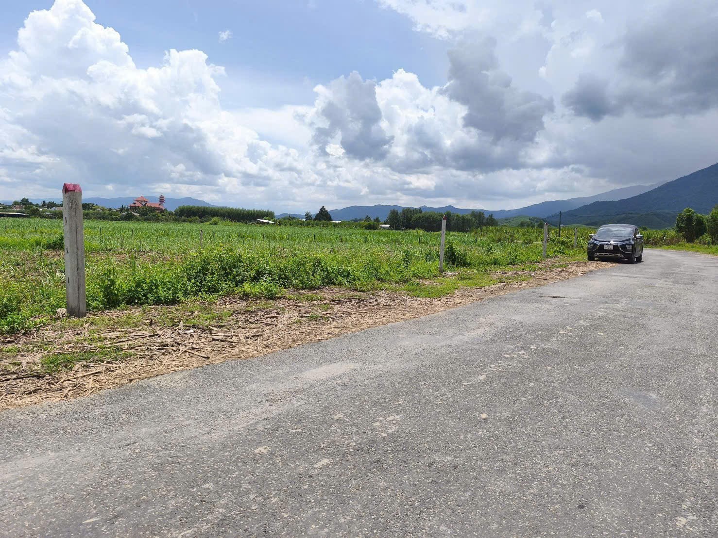 Bán đất vườn Diên Xuân mặt tiền đường nhựa liên xã gần khu dân cư cách chợ Đất Sét 900m 9