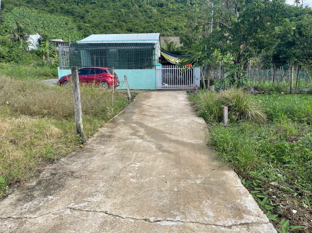 Bán đất Diên Tân giá rẻ sát bên Hương Lộ 62 - lô góc 2 mặt tiền thoáng đẹp dân cư đông 6