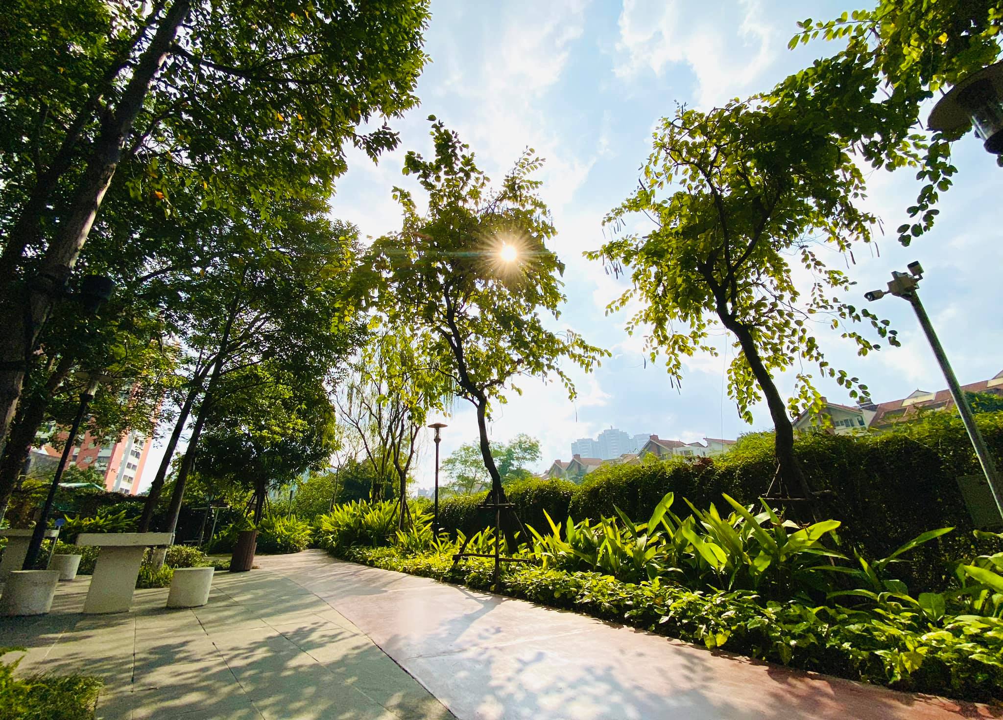Bán Căn hộ 1 ngủ dt 46m2 tại Mulberry Lane - SHLD, giá 4 tỷ 5
